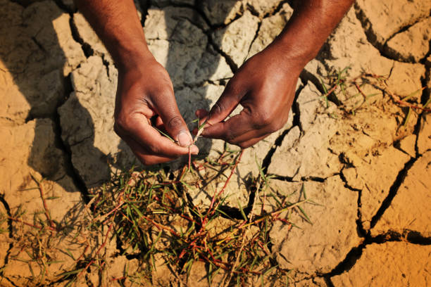 istock Examining the land for farming 926112660