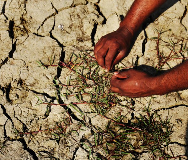 istock Examining the land for farming 926112662