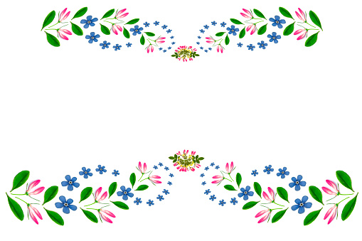 Flower pattern, the ornament of pink and blue flowers, green leaves on a white background. Flat lay, top view. The pattern of flowers