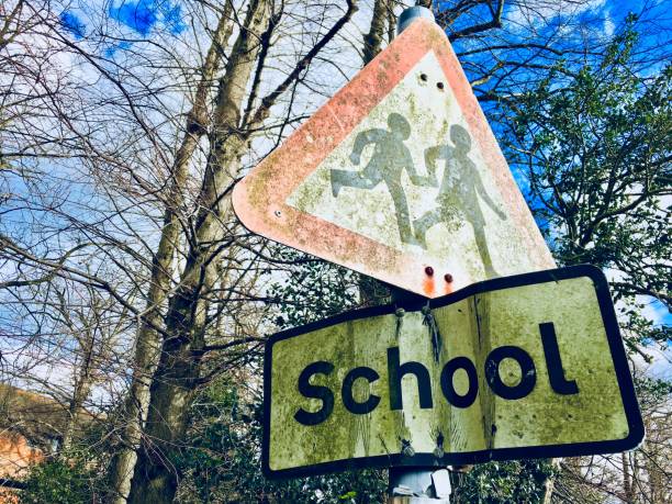 verwitterte moos bedeckt schule zeichen - moose crossing sign stock-fotos und bilder