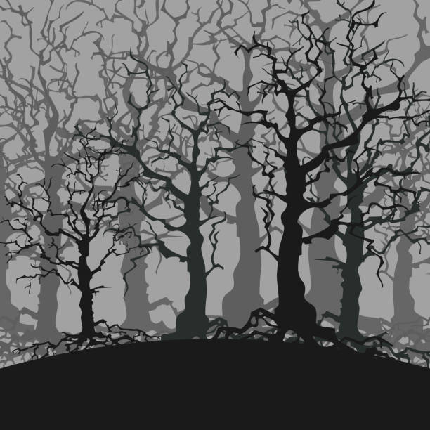 istock cartoon gloomy forest background of trees without leaves 926116896