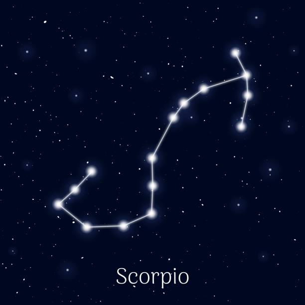 Sign zodiac scorpio, night sky background, realistic Sign zodiac scorpio, night sky background, realistic. Astrological symbol of materialism, mysticism and humanism. Vector illustration of ancient sacral image scorpio stock illustrations