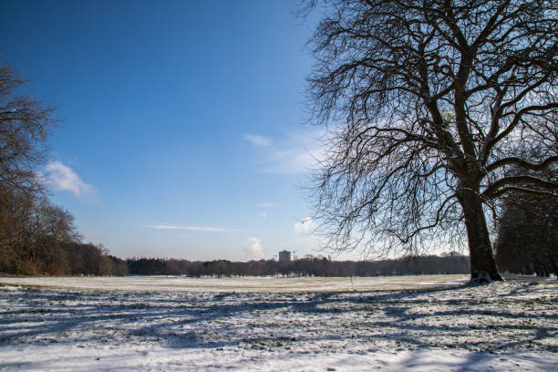 istock Dusting of snow on Sefton Park 926125786