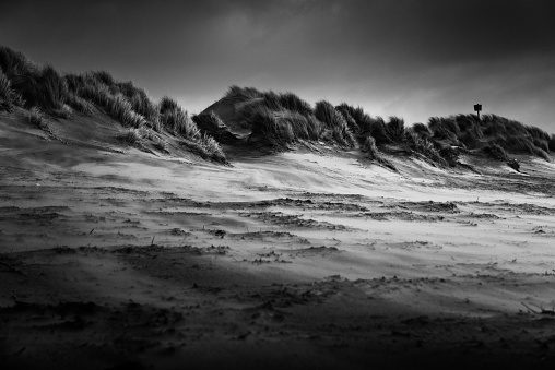 Dune landscape at coast of east frisian island Borkum