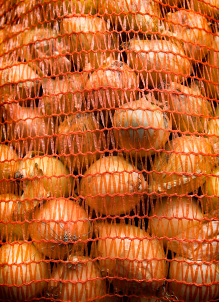 zwiebeln in meschotschek netting - onion bag netting vegetable stock-fotos und bilder