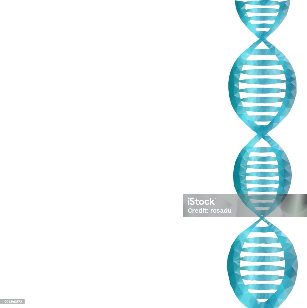 DNA polygon Wireframe polygonal DNA molecules structure on white background. Concept human genome illustration. Low poly polygon design, geometry triangle, lines, dots. Science and technology concept. Abstract stock vector