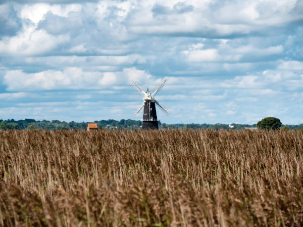 istock Windmill on the marshes near Berney Arms, Norfolk 926143758