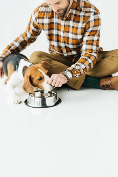 istock dog sniffing food in man hand 926159148