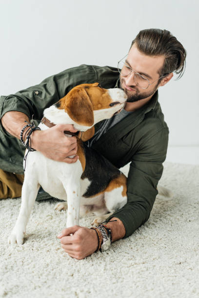 istock handsome man kissing cute beagle 926159182