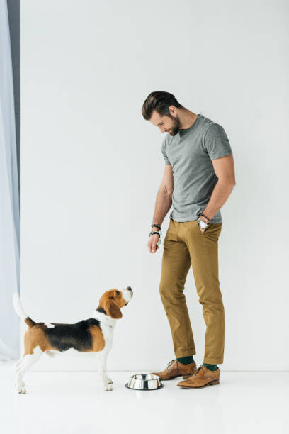 istock man standing near pet bowl and looking at dog 926160150