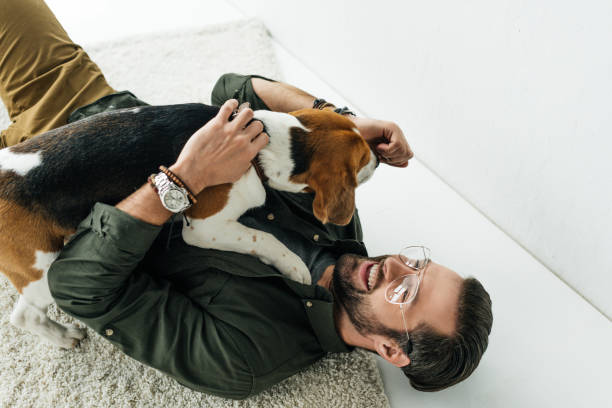 istock high angle view of smiling man lying on carpet and playing with dog 926162732