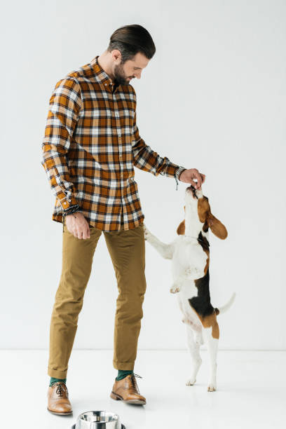 istock handsome man feeding dog on white 926163534