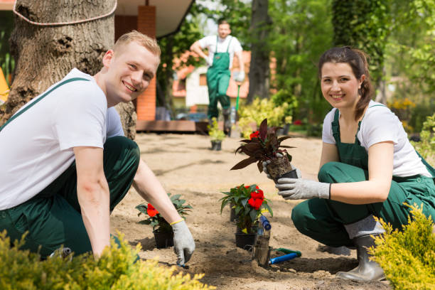 istock Professional gardening team starting their busy day 926166990