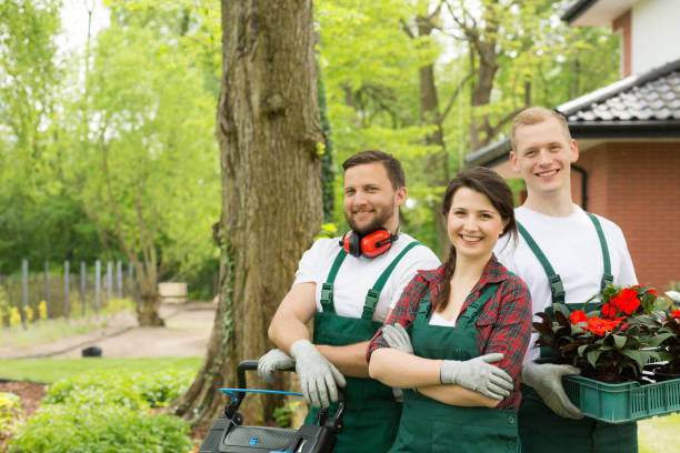 istock Loving their job and doing it with passion 926167000