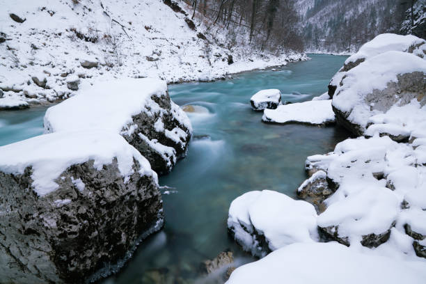 istock winter river Tara in Montenegro 926167040