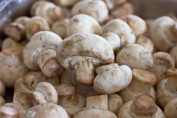 istock Peeled raw mushrooms champignon close-up. Selective focus 926168058