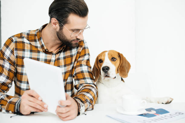 istock handsome businessman and dog sitting at table with tablet 926168158