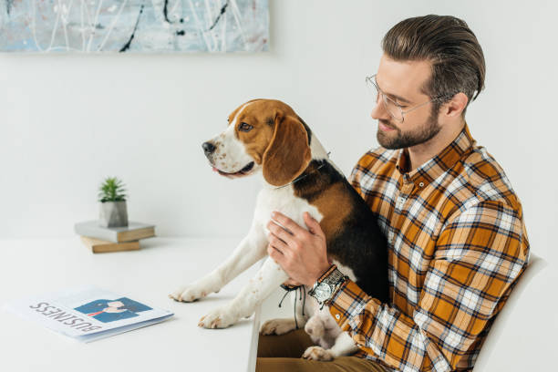 istock side view of businessman holding cute beagle 926171490