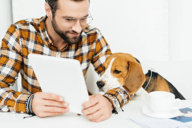 istock cute beagle lying on businessman hand and looking at tablet 926171654