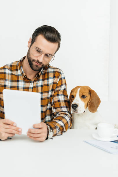 istock businessman and cute beagle looking at tablet 926171834