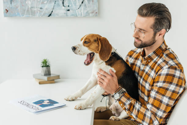 istock businessman holding yawning dog at table 926171936
