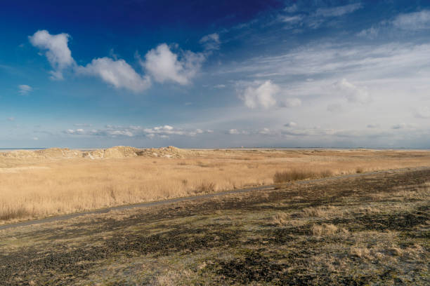 istock Beach of St. Peter-Ording in Germany 926175748