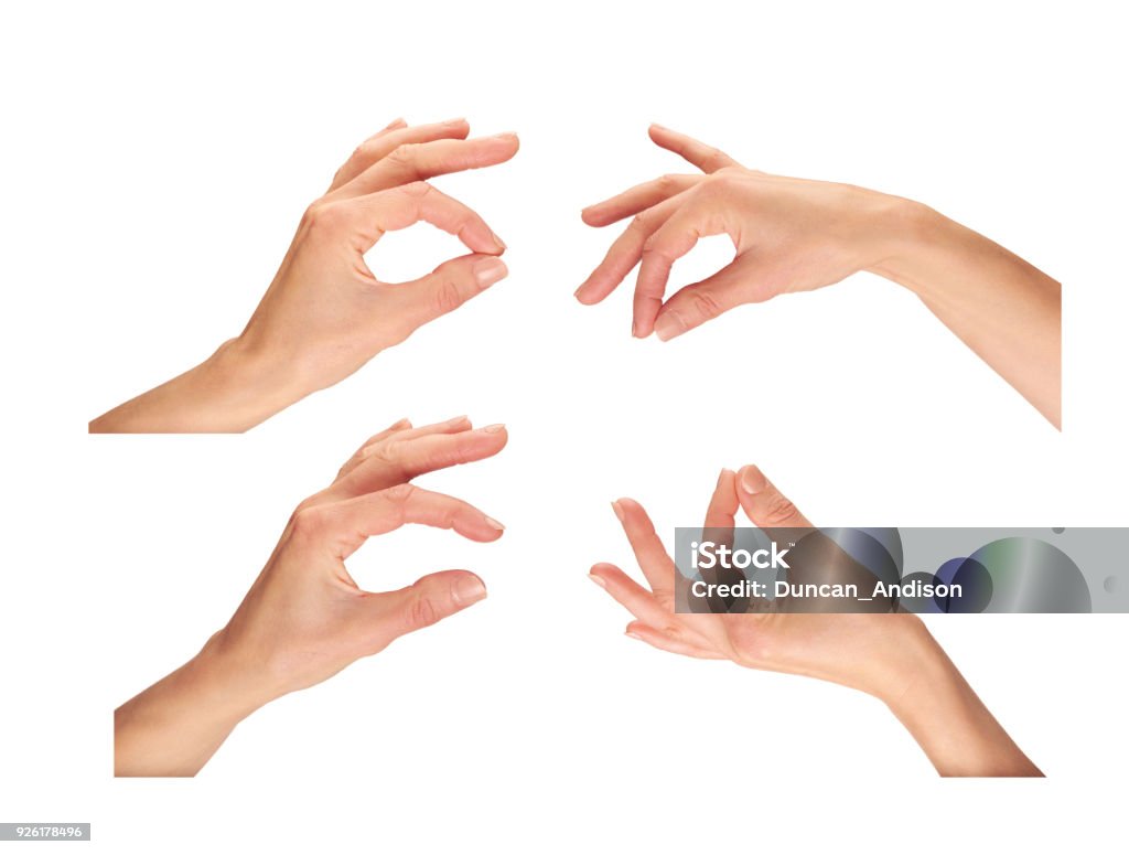 Female Hands Female hands holding, picking up isolated on a white background. Hand Stock Photo