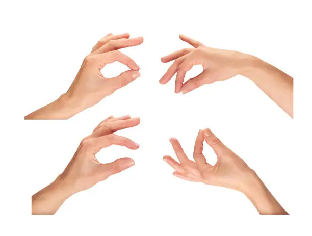 Female hands holding, picking up isolated on a white background.