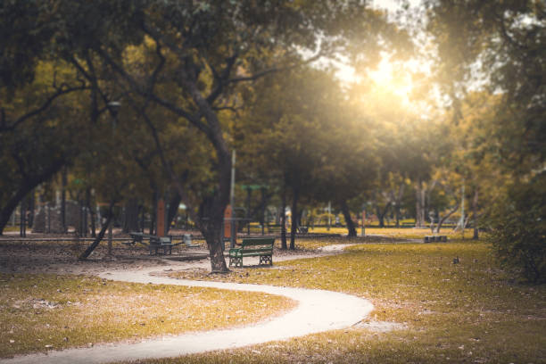 istock Siadewalk at the park . 926179590