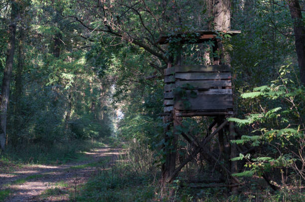 istock Wooden structure for observing the animal life 926181998
