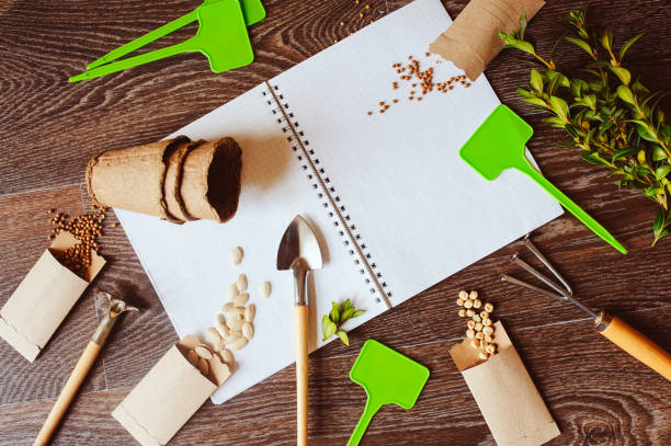 istock spring garden flat lay with seeds in handmade envelopes, note book, labels and tools. Seeding vegetables and potherbs, planning and spring preparations 926182822