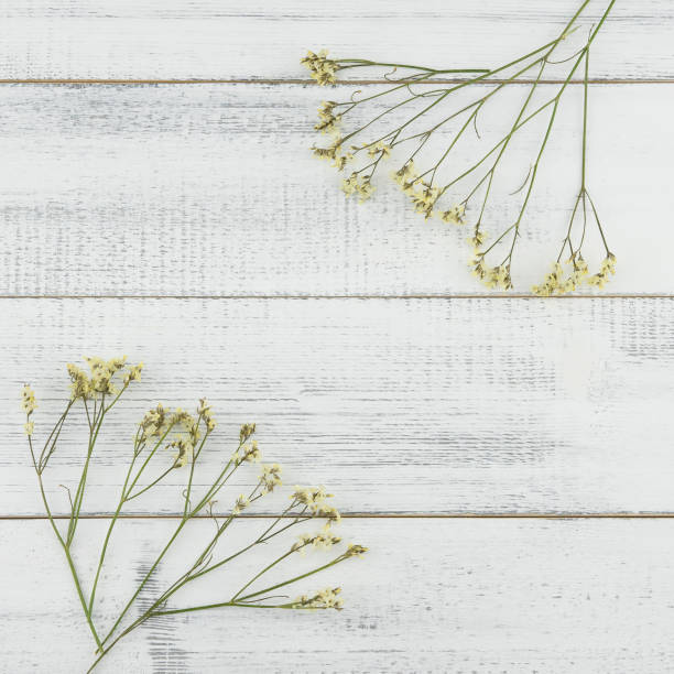 istock Yellow limonium caspia flowers on white wood 926185304