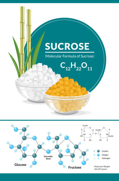 ÐÐµÑÐ°ÑÑ Vector illustration. Structural chemical formula and model of sucrose. White and brown sugar cubes in bowls oligosaccharide stock illustrations