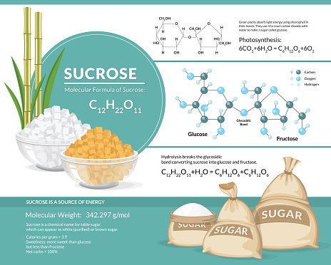 Vector illustration. White and brown sugar cubes in bowls. Structural chemical formula and model of sucrose