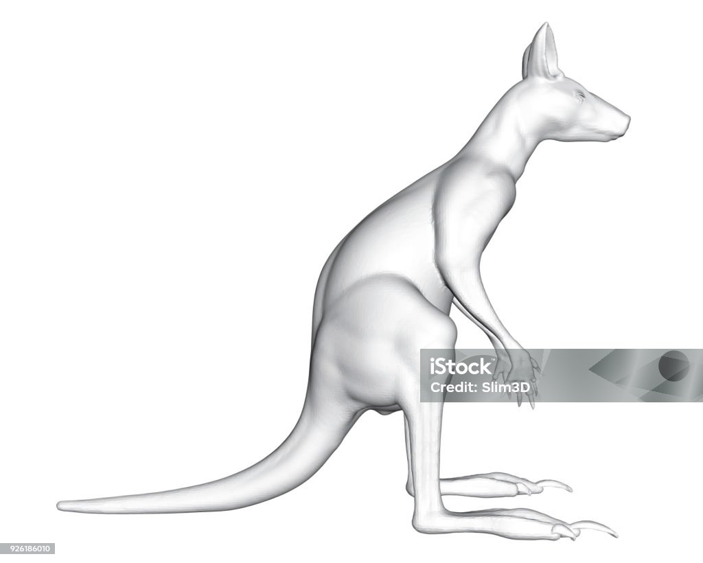 Kangaroo Polygonal kangaroo. 3D. Side view. Vector illustration. Animal stock vector