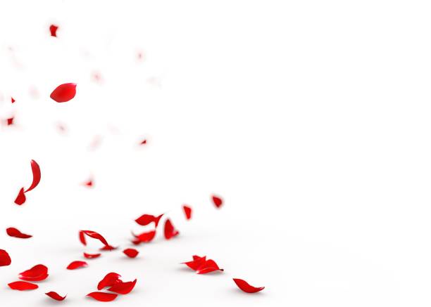 istock Red rose petals fall to the floor 926188920