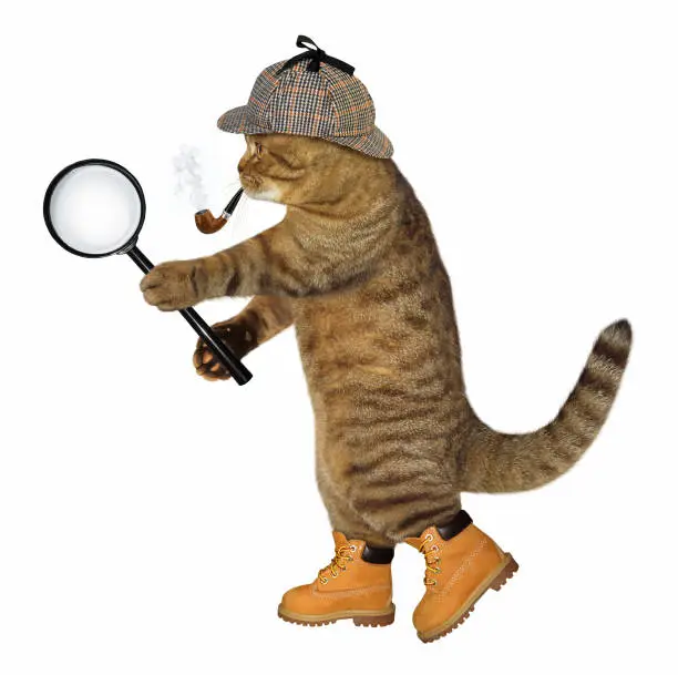 The cat detective with a smoking pipe holds a magnifying glass. White background.