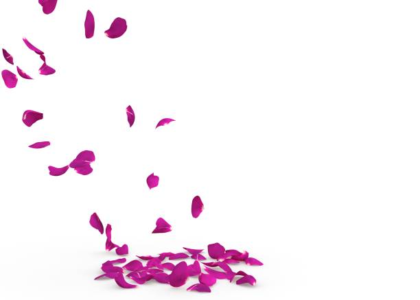 istock Rose petals fall to the floor 926189326
