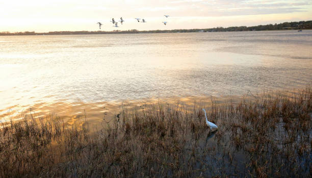 istock Picturesque view Mount Dora, Florida, USA. 926189956