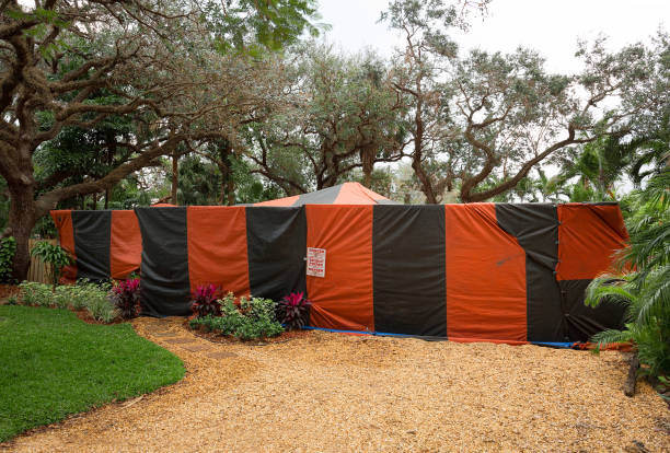 Termite tent covers a single family home Typical single family home covered in canvas tarps in preparation for the termite fumigation process. broward house stock pictures, royalty-free photos & images