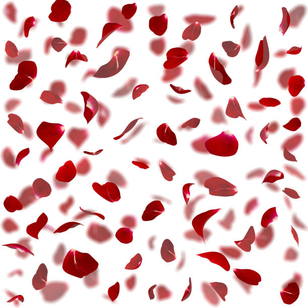 istock Seamless texture of red rose petals 926193072