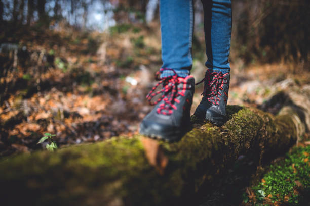 istock Hiker shoes on old tree log 926196888