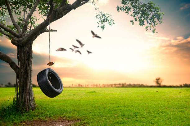 Beautiful nature background. Beautiful nature background. Hanging rubber tire under the tree. swing play equipment stock pictures, royalty-free photos & images