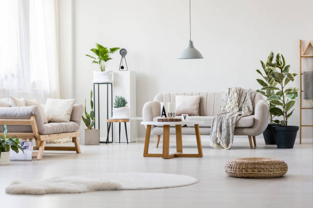 istock Living room with two couches 926197304