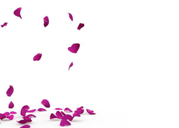 istock Rose petals fall to the floor 926199452