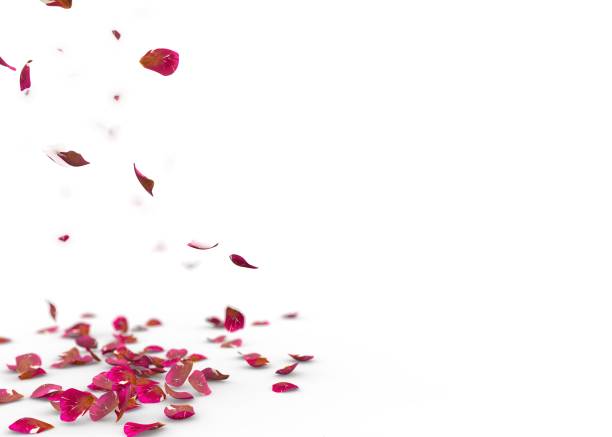 istock Red rose petals fall to the floor 926201168