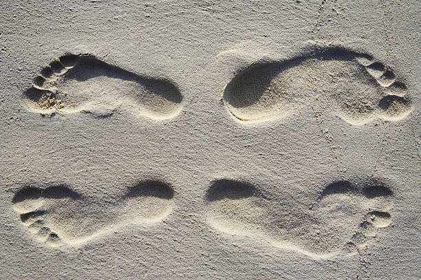 2 Footsteps 2,000+ Two Footprints In The Sand Stock Photos, Pictures & Royalty-Free ...