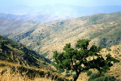 Scenic panoramic view of the Sierra Nevada mountain range, Andalusia, Southern Spain.