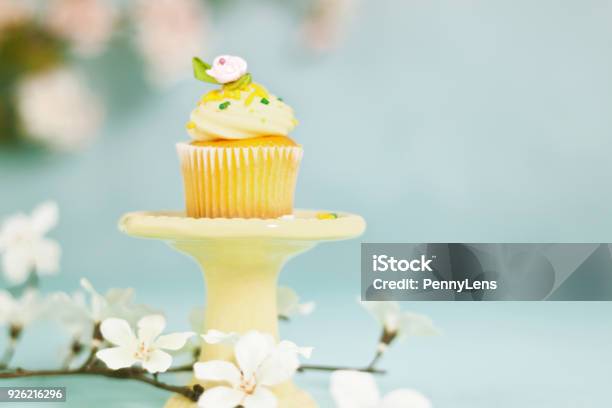 Pastel Cupcake For Mothers Day Or Easter Stock Photo - Download Image Now - Cupcake, Springtime, Blue