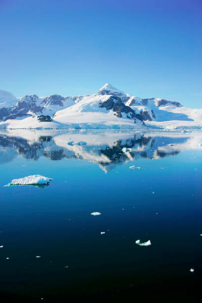 istock Antarctica panorama of Paradise bay 926223354